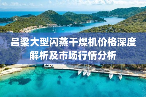 吕梁大型闪蒸干燥机价格深度解析及市场行情分析