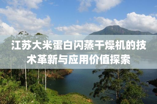 江苏大米蛋白闪蒸干燥机的技术革新与应用价值探索