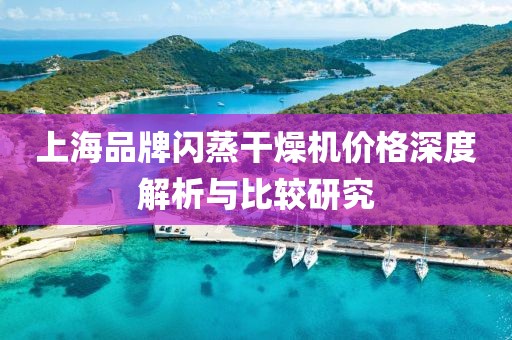 上海品牌闪蒸干燥机价格深度解析与比较研究