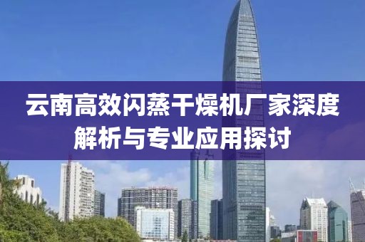 云南高效闪蒸干燥机厂家深度解析与专业应用探讨