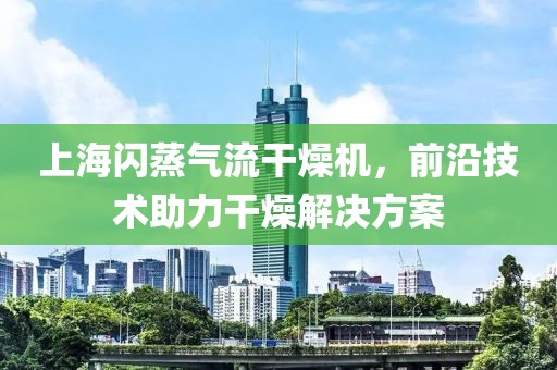 上海闪蒸气流干燥机，前沿技术助力干燥解决方案