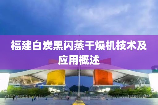 福建白炭黑闪蒸干燥机技术及应用概述