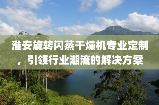 淮安旋转闪蒸干燥机专业定制，引领行业潮流的解决方案