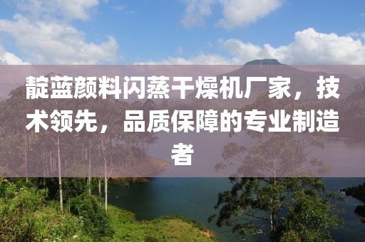 靛蓝颜料闪蒸干燥机厂家，技术领先，品质保障的专业制造者