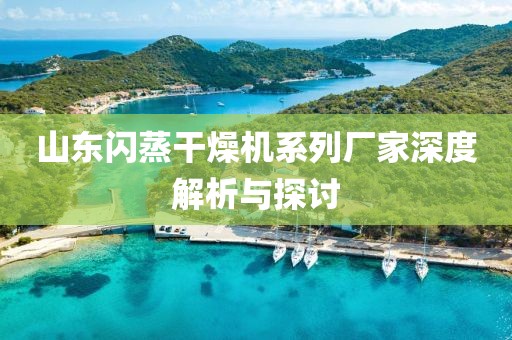 山东闪蒸干燥机系列厂家深度解析与探讨