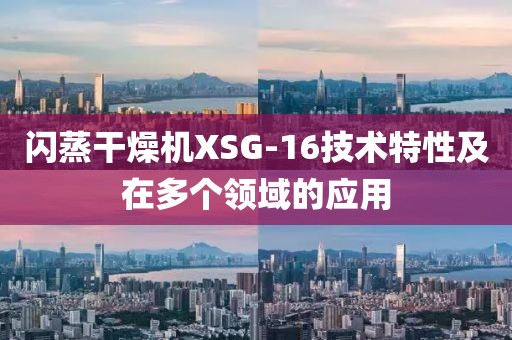 闪蒸干燥机XSG-16技术特性及在多个领域的应用