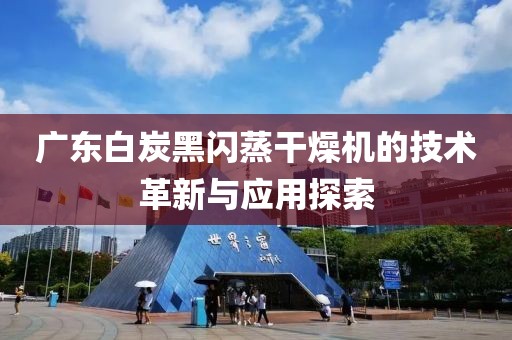 广东白炭黑闪蒸干燥机的技术革新与应用探索