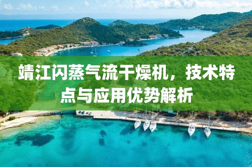 靖江闪蒸气流干燥机，技术特点与应用优势解析