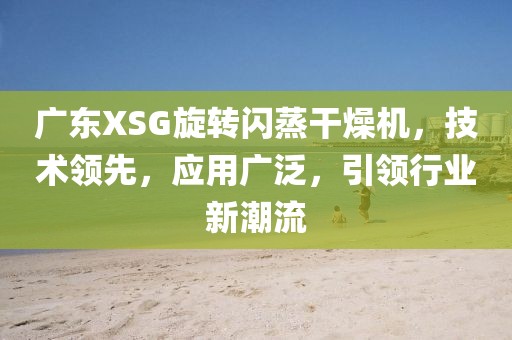 广东XSG旋转闪蒸干燥机，技术领先，应用广泛，引领行业新潮流