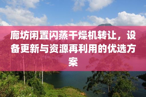 廊坊闲置闪蒸干燥机转让，设备更新与资源再利用的优选方案