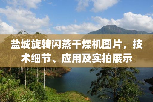 盐城旋转闪蒸干燥机图片，技术细节、应用及实拍展示