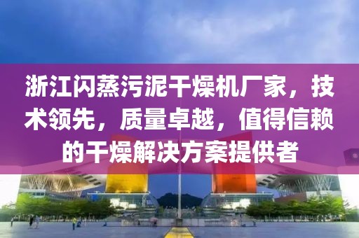 浙江闪蒸污泥干燥机厂家，技术领先，质量卓越，值得信赖的干燥解决方案提供者