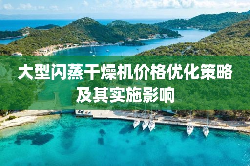 大型闪蒸干燥机价格优化策略及其实施影响