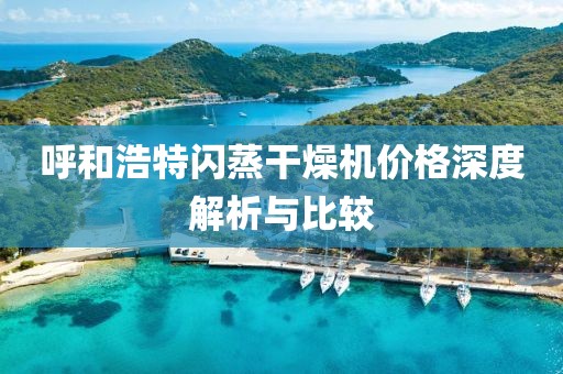 呼和浩特闪蒸干燥机价格深度解析与比较