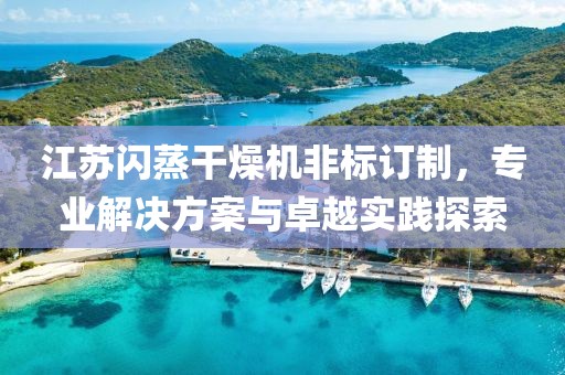 江苏闪蒸干燥机非标订制，专业解决方案与卓越实践探索