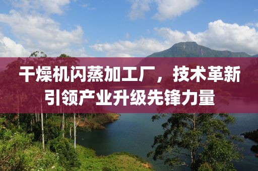 干燥机闪蒸加工厂，技术革新引领产业升级先锋力量