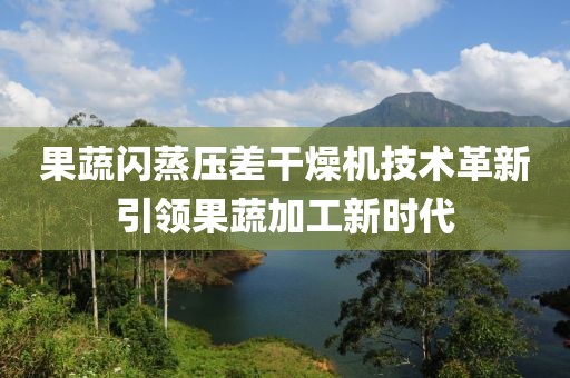 果蔬闪蒸压差干燥机技术革新引领果蔬加工新时代