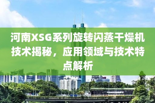 河南XSG系列旋转闪蒸干燥机技术揭秘，应用领域与技术特点解析