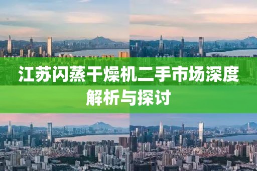 江苏闪蒸干燥机二手市场深度解析与探讨