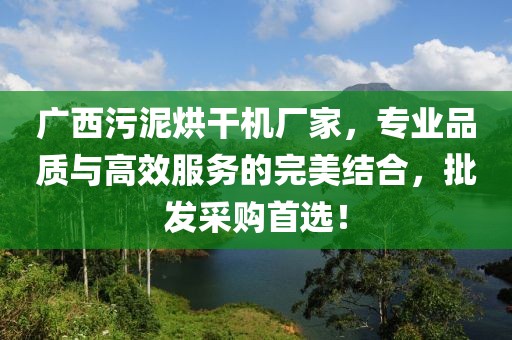 广西污泥烘干机厂家，专业品质与高效服务的完美结合，批发采购首选！