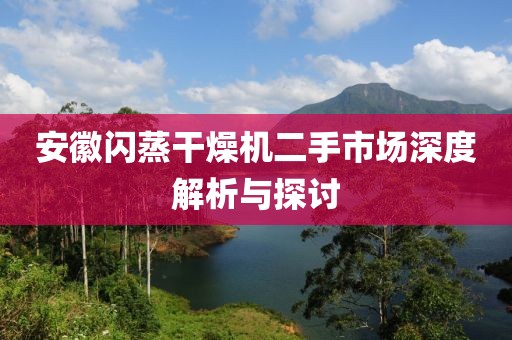 安徽闪蒸干燥机二手市场深度解析与探讨