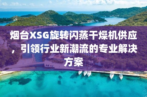 烟台XSG旋转闪蒸干燥机供应，引领行业新潮流的专业解决方案