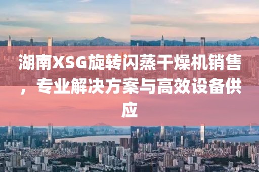 湖南XSG旋转闪蒸干燥机销售，专业解决方案与高效设备供应