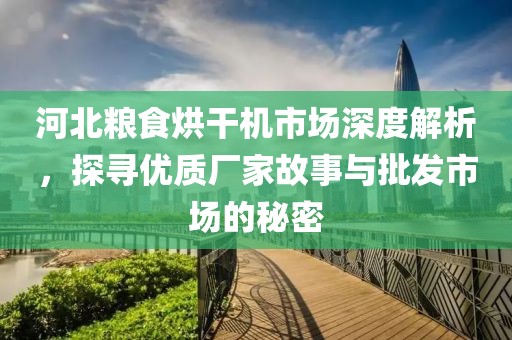 河北粮食烘干机市场深度解析，探寻优质厂家故事与批发市场的秘密