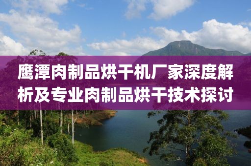 鹰潭肉制品烘干机厂家深度解析及专业肉制品烘干技术探讨