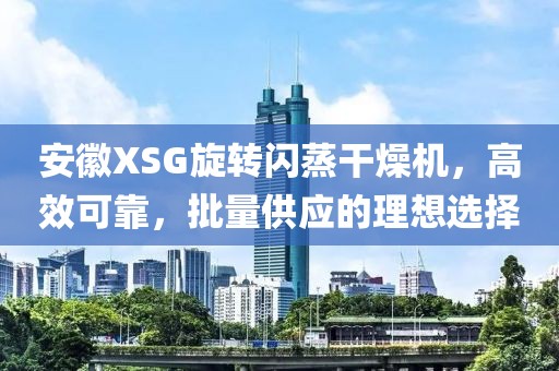 安徽XSG旋转闪蒸干燥机，高效可靠，批量供应的理想选择