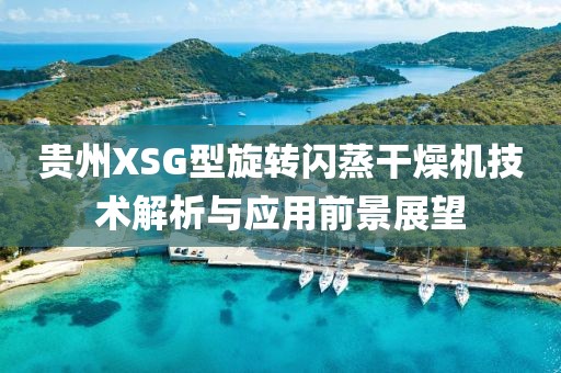 贵州XSG型旋转闪蒸干燥机技术解析与应用前景展望