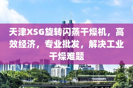 天津XSG旋转闪蒸干燥机，高效经济，专业批发，解决工业干燥难题