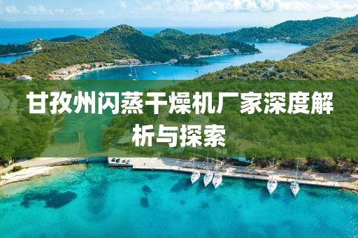 甘孜州闪蒸干燥机厂家深度解析与探索