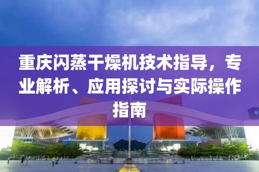 重庆闪蒸干燥机技术指导，专业解析、应用探讨与实际操作指南