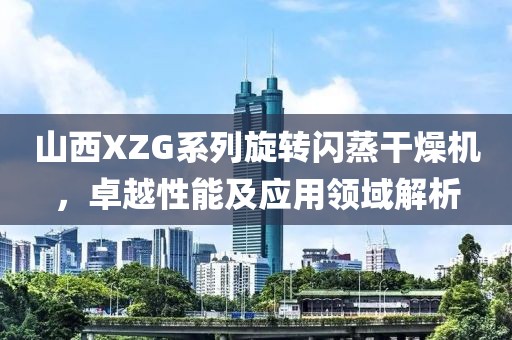 山西XZG系列旋转闪蒸干燥机，卓越性能及应用领域解析