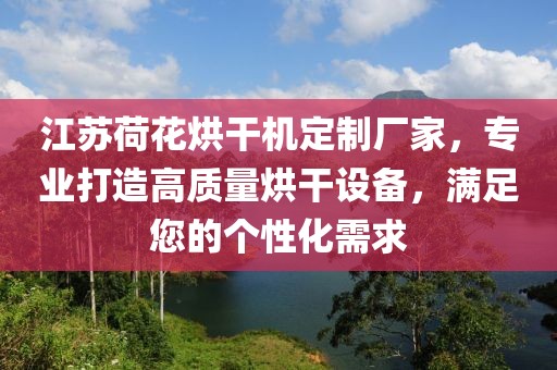 江苏荷花烘干机定制厂家，专业打造高质量烘干设备，满足您的个性化需求
