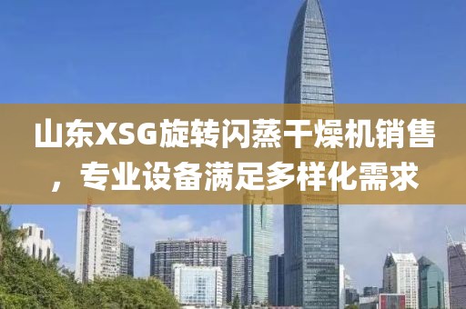 山东XSG旋转闪蒸干燥机销售，专业设备满足多样化需求