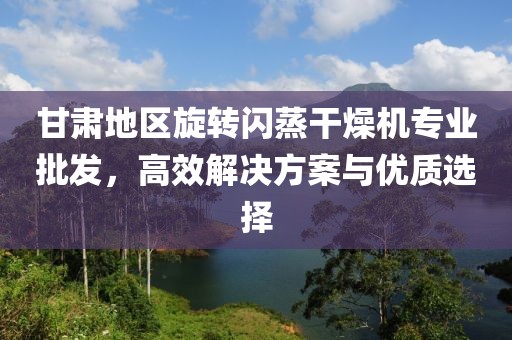 甘肃地区旋转闪蒸干燥机专业批发，高效解决方案与优质选择