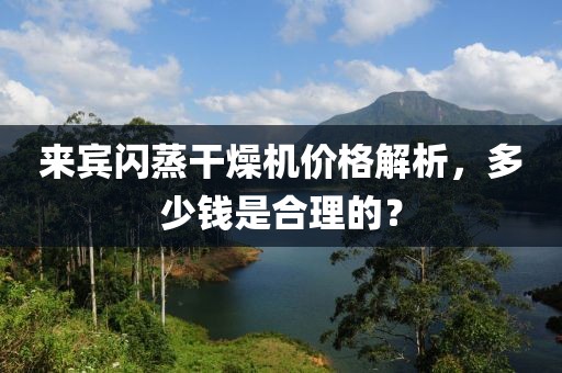 来宾闪蒸干燥机价格解析，多少钱是合理的？