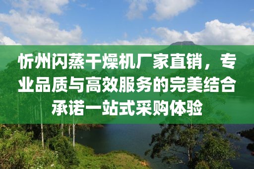 忻州闪蒸干燥机厂家直销，专业品质与高效服务的完美结合承诺一站式采购体验