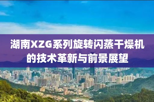 湖南XZG系列旋转闪蒸干燥机的技术革新与前景展望