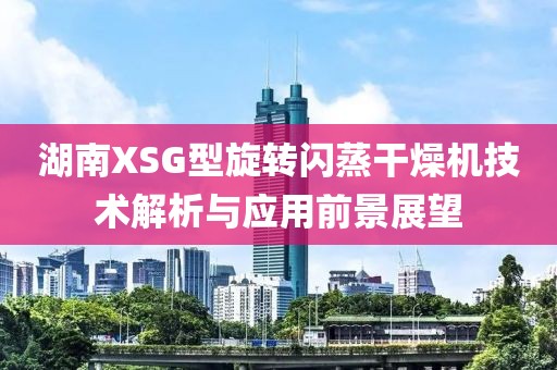 湖南XSG型旋转闪蒸干燥机技术解析与应用前景展望