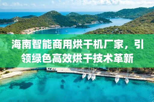 海南智能商用烘干机厂家，引领绿色高效烘干技术革新