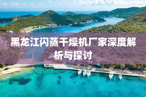 黑龙江闪蒸干燥机厂家深度解析与探讨