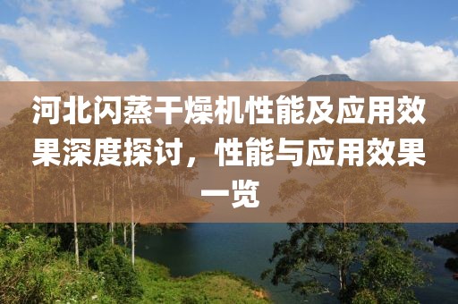 河北闪蒸干燥机性能及应用效果深度探讨，性能与应用效果一览