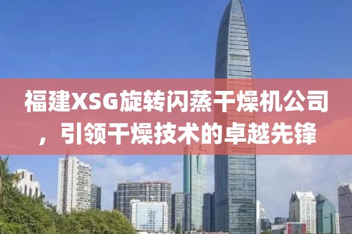 福建XSG旋转闪蒸干燥机公司，引领干燥技术的卓越先锋