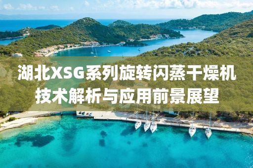 湖北XSG系列旋转闪蒸干燥机技术解析与应用前景展望