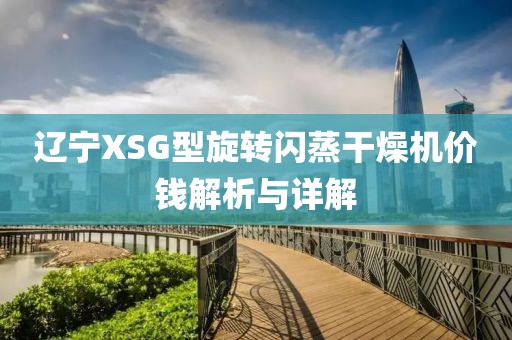 辽宁XSG型旋转闪蒸干燥机价钱解析与详解