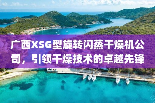 广西XSG型旋转闪蒸干燥机公司，引领干燥技术的卓越先锋