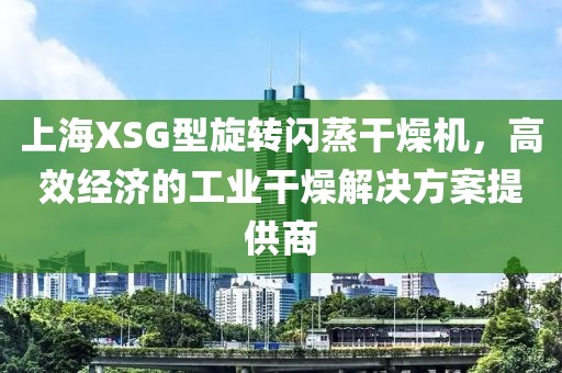 上海XSG型旋转闪蒸干燥机，高效经济的工业干燥解决方案提供商